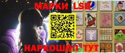 apvp Владимир