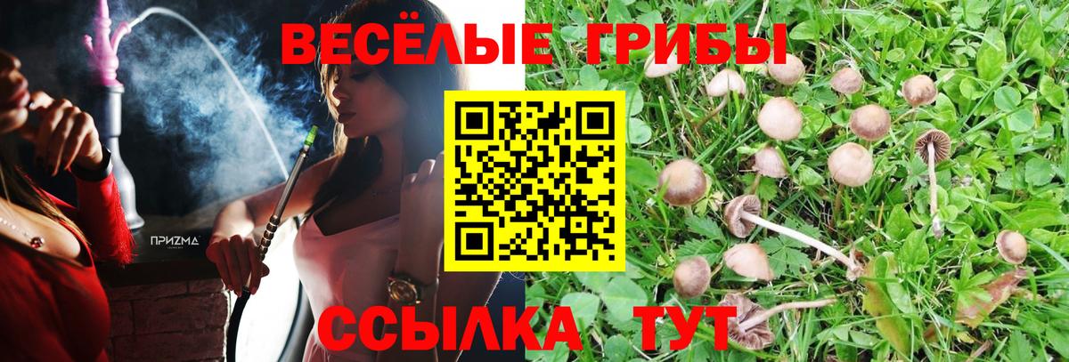 Галлюциногенные грибы Cubensis Моздок