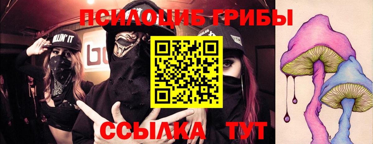 Моздок  Галлюциногенные грибы GOLDEN TEACHER  Вход с VPN 